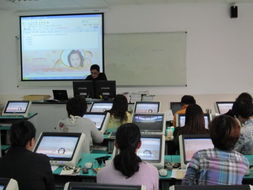 白鹤小学 以计算机技术培训为翼，赋能教师专业成长